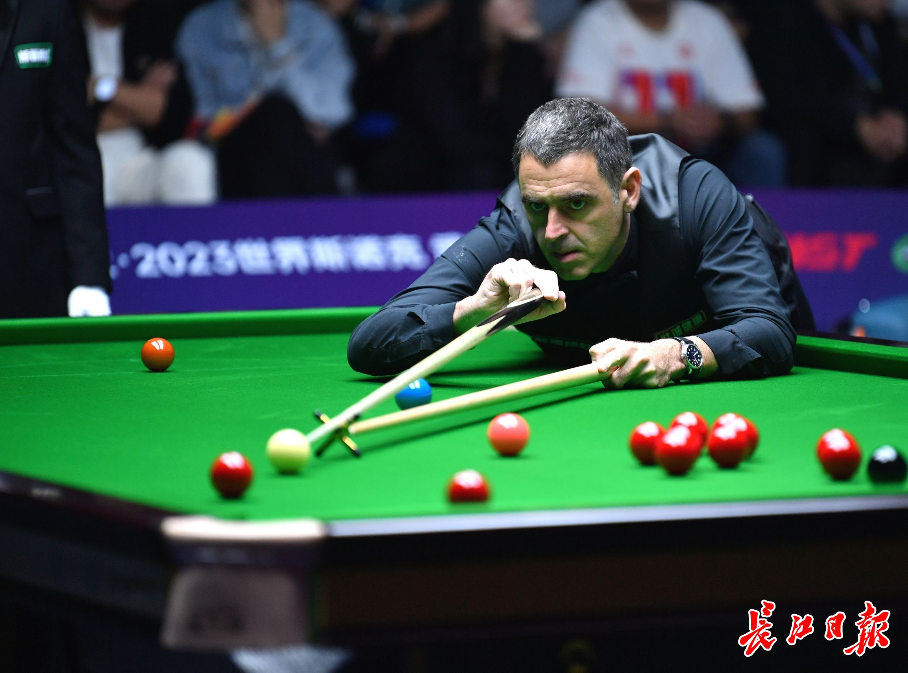 并成功将雄 并成功将雄