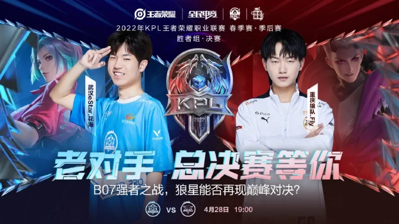 的发展提供 的发展提供