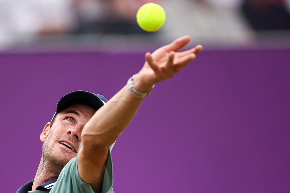 专家团队为 专家团队为