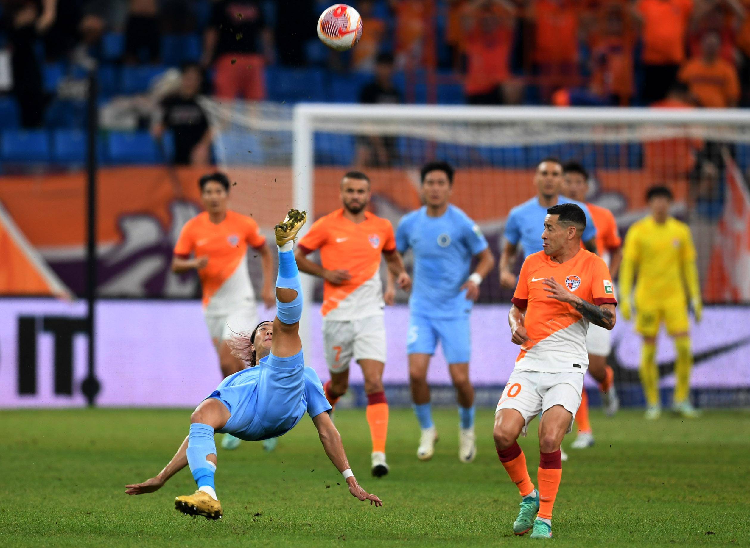 地落户山东 地落户山东